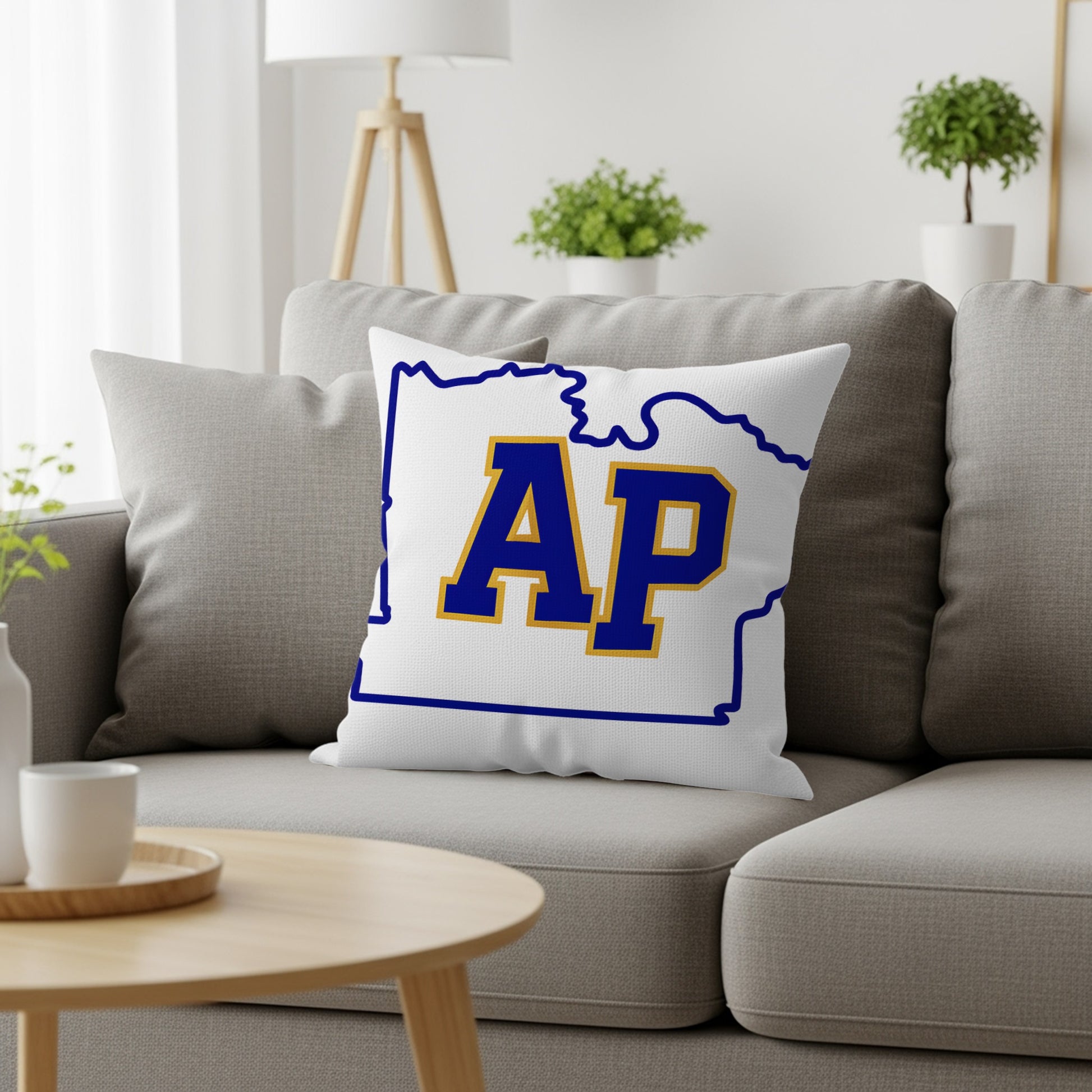 Stylish Decorative AP Cushion Perfect for Any Room product type